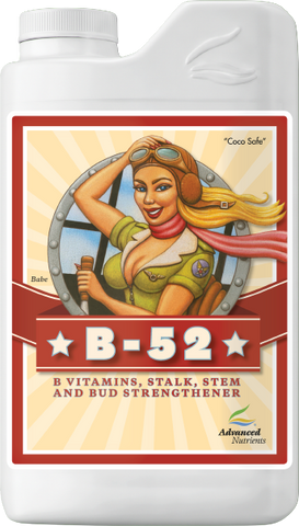 B-52 1L
