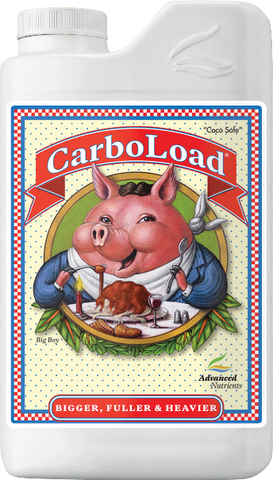 CarboLoad 1L
