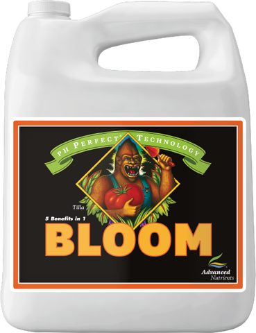 pH Perfect Bloom 4L