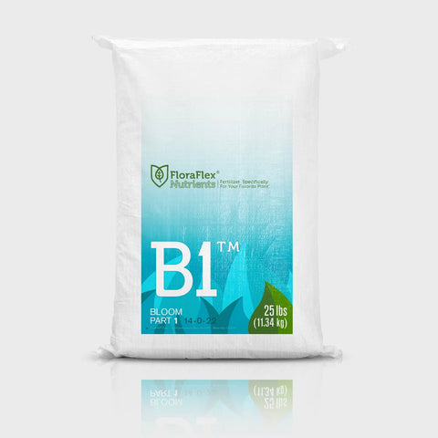 B1 Bloom Part 1