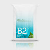 B2 Bloom Part 2