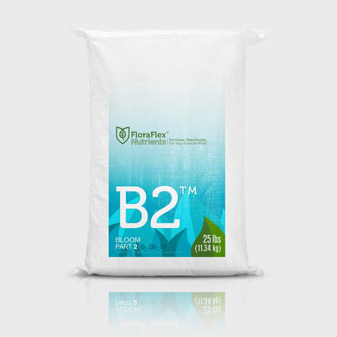 B2 Bloom Part 2
