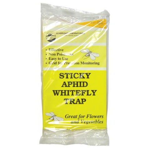 Sticky Aphid Whitefly Trap 5/Pack (80/Cs)