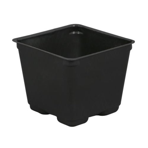 Gro Pro Square Plastic Pot Black 4 in (880/Cs)