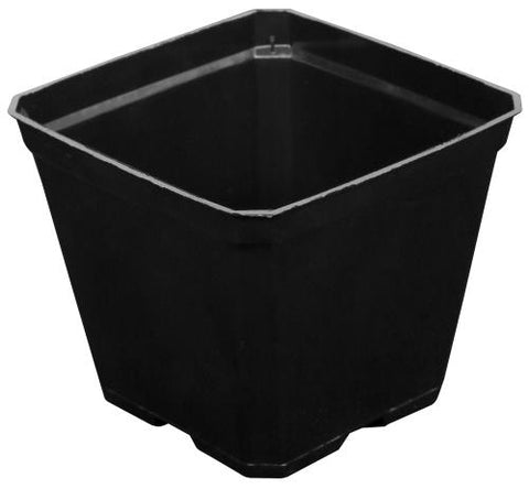 Gro Pro Black Plastic Pot 3.5 in x 3.5 in x 3 in (800/Cs)